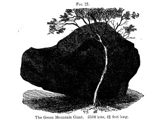Green Mountain Giant Green Mountain Giant