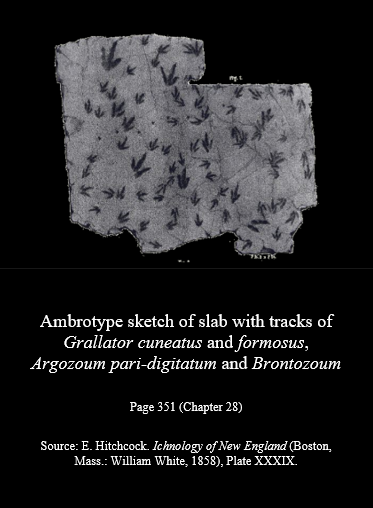 Sandstone slab