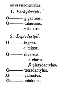 Taxonomy