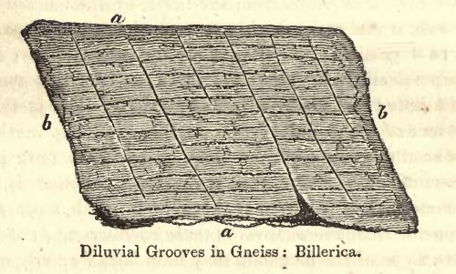 Gneiss
