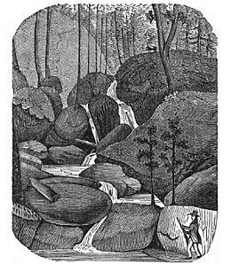Leverett Cascade