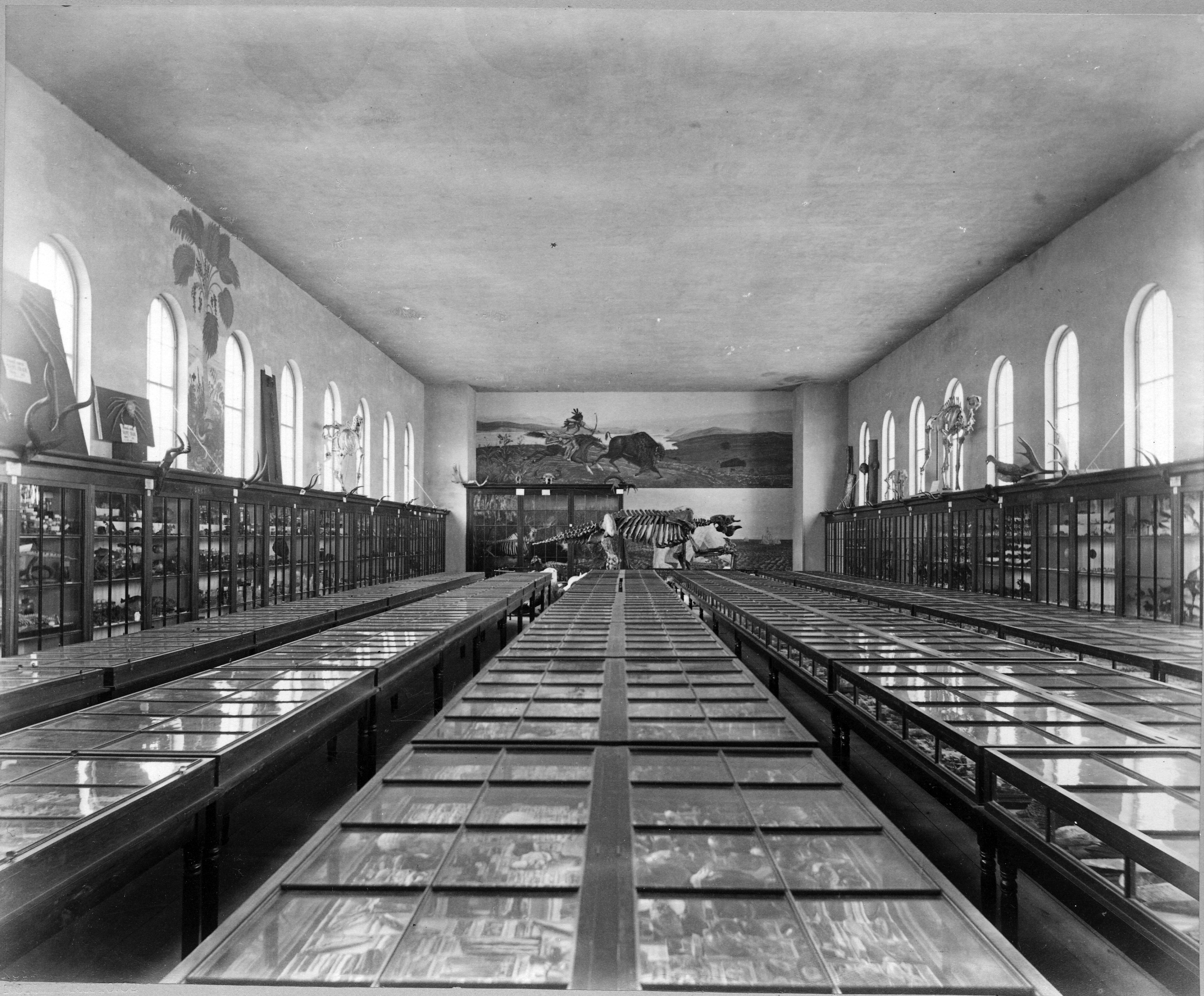 Appleton Cabinet Interior